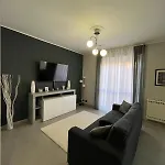 Ladybug *